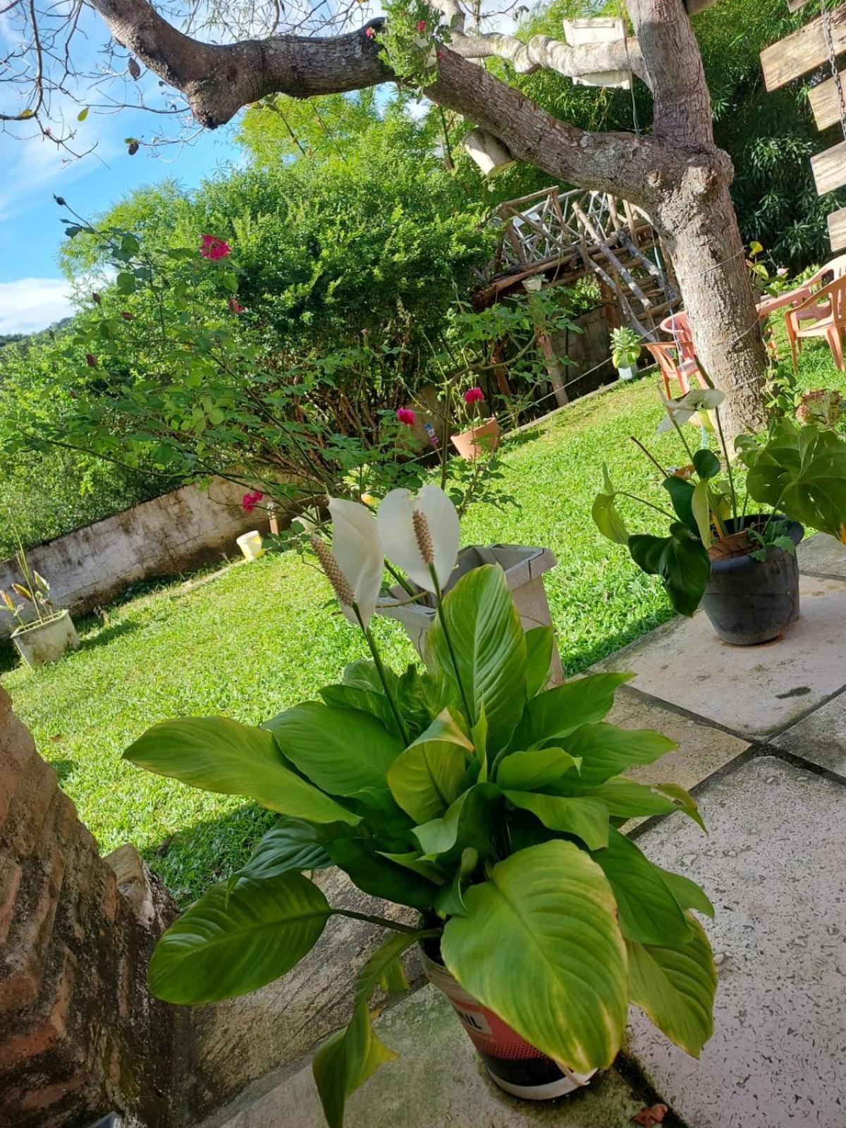 Campsite Cantim Da Felicidade