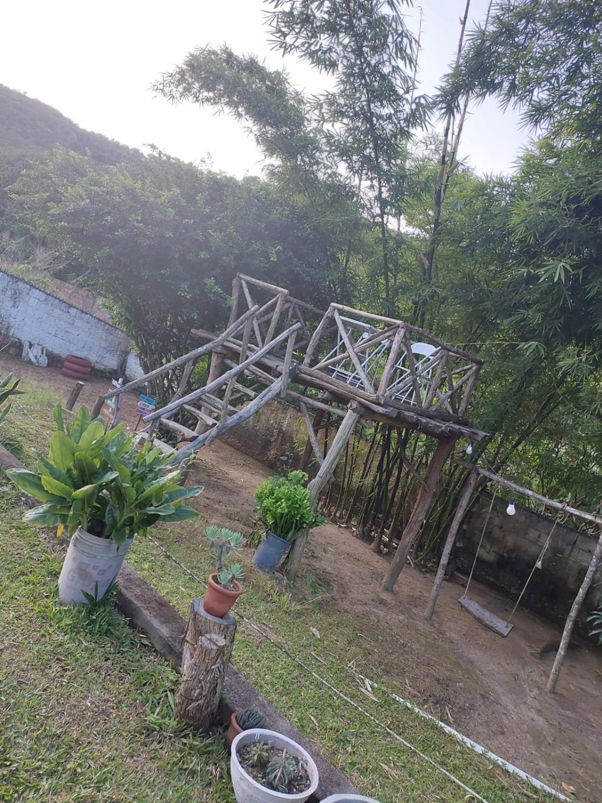 Cantim Da Felicidade